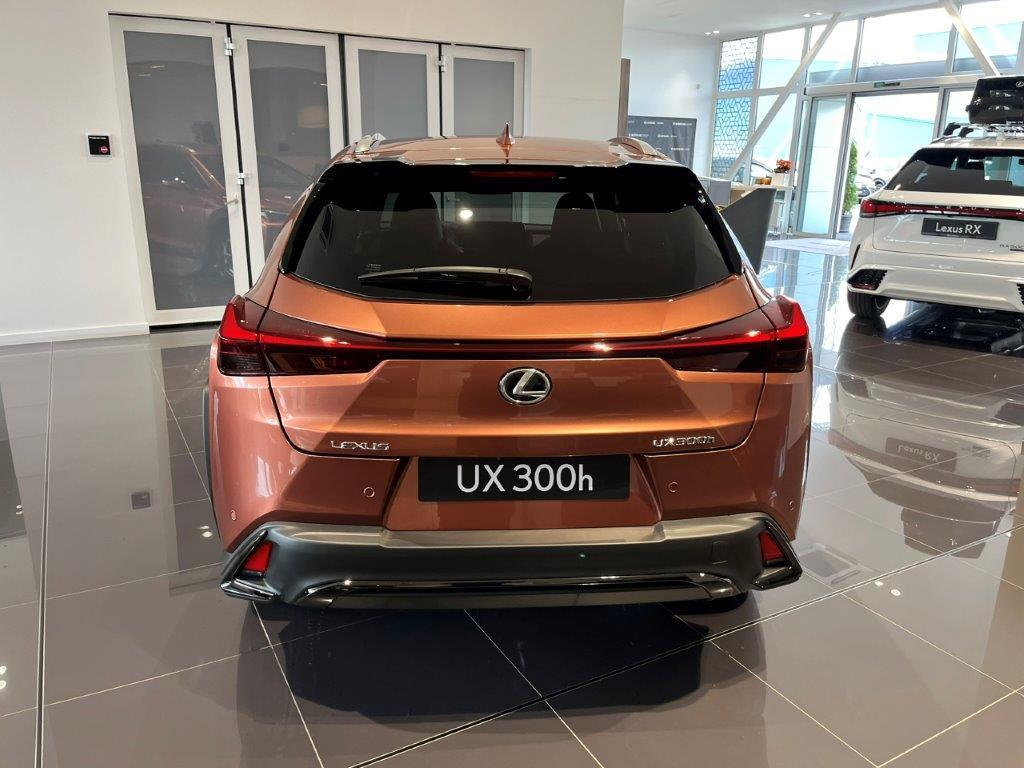 Lexus UX 300h  F SPORT DESIGN