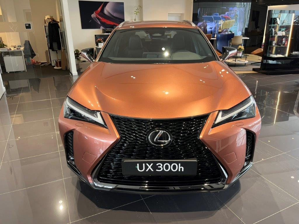 Lexus UX 300h  F SPORT DESIGN