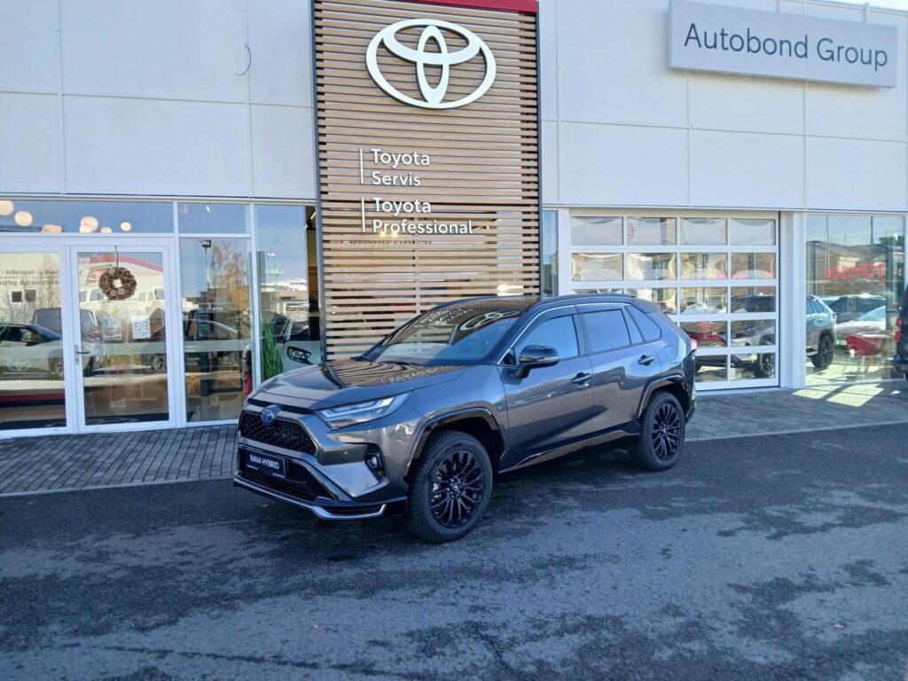 Toyota RAV4  2,0 HEV 4x4 EXECUTIVE,JBL,SKYVIEW